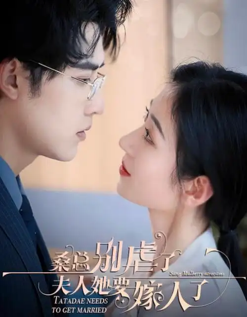 烟火人家 全集免费在线观看